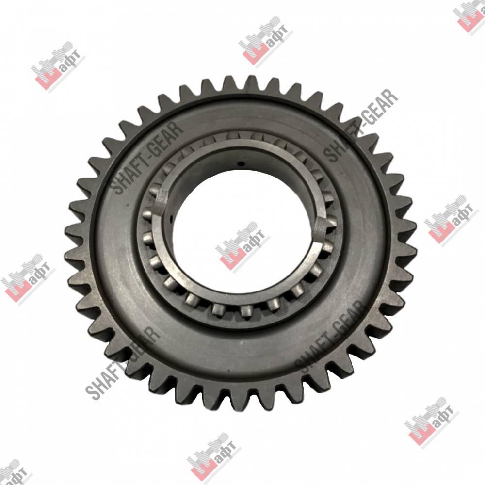 1280304017-shesternya-zadnego-hoda-na-kpp